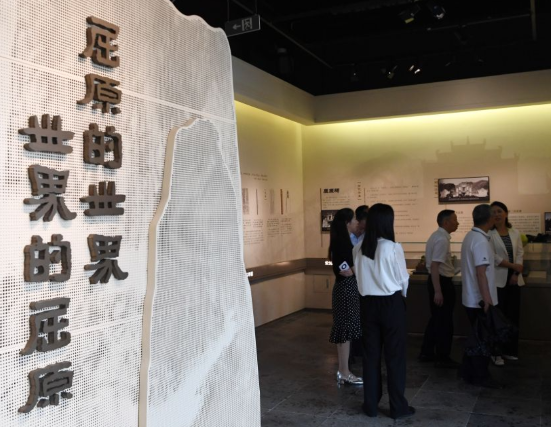 白鹿喝中药睡过头了