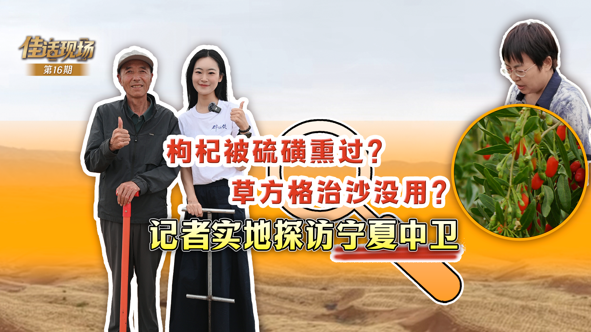 林诗栋蒯曼冠军