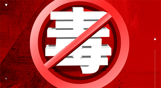 联合国工发组织总干事代表：弥合数字鸿沟与数字创新同等重要