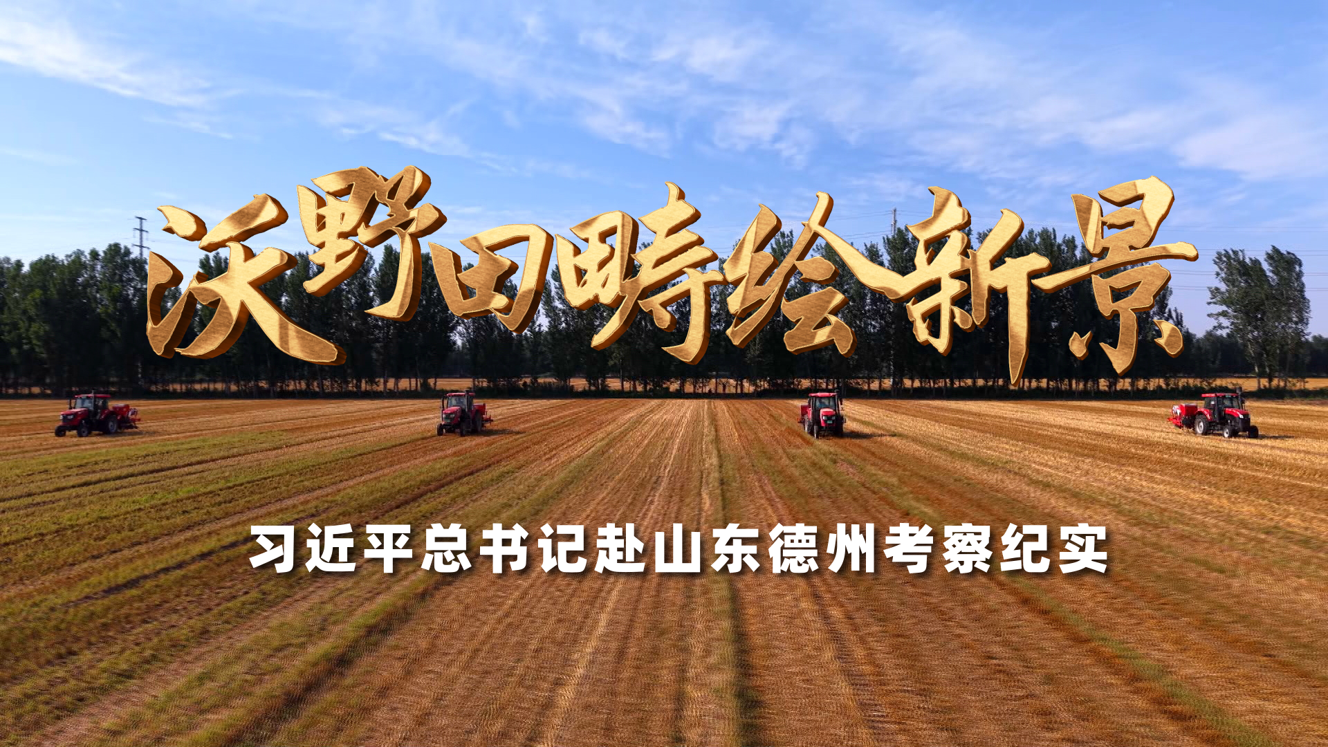 化债概念股大涨
