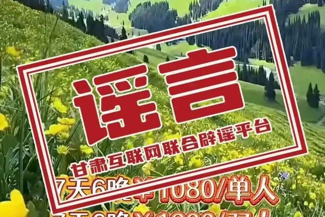 在希望的田野上｜夏播粮食近七成 科技赋能提质增效