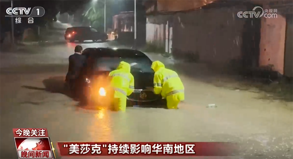 成全电影大全在线观看高清免费播放电视剧