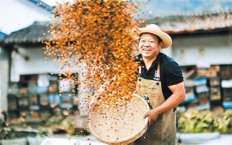 中文字幕一区二区三区四区高清视频