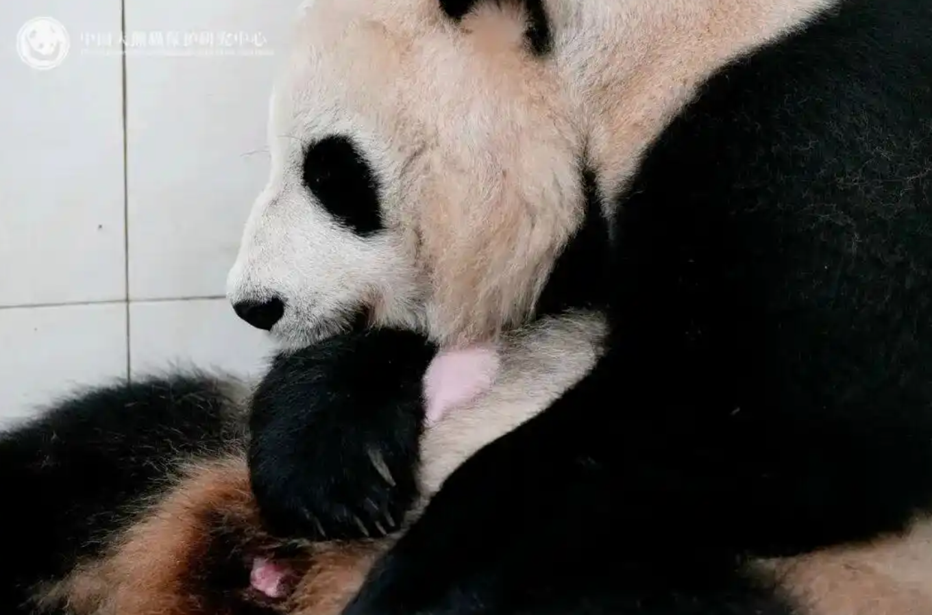 台湾专家:两岸合作可助缓解台湾AI产业用电压力