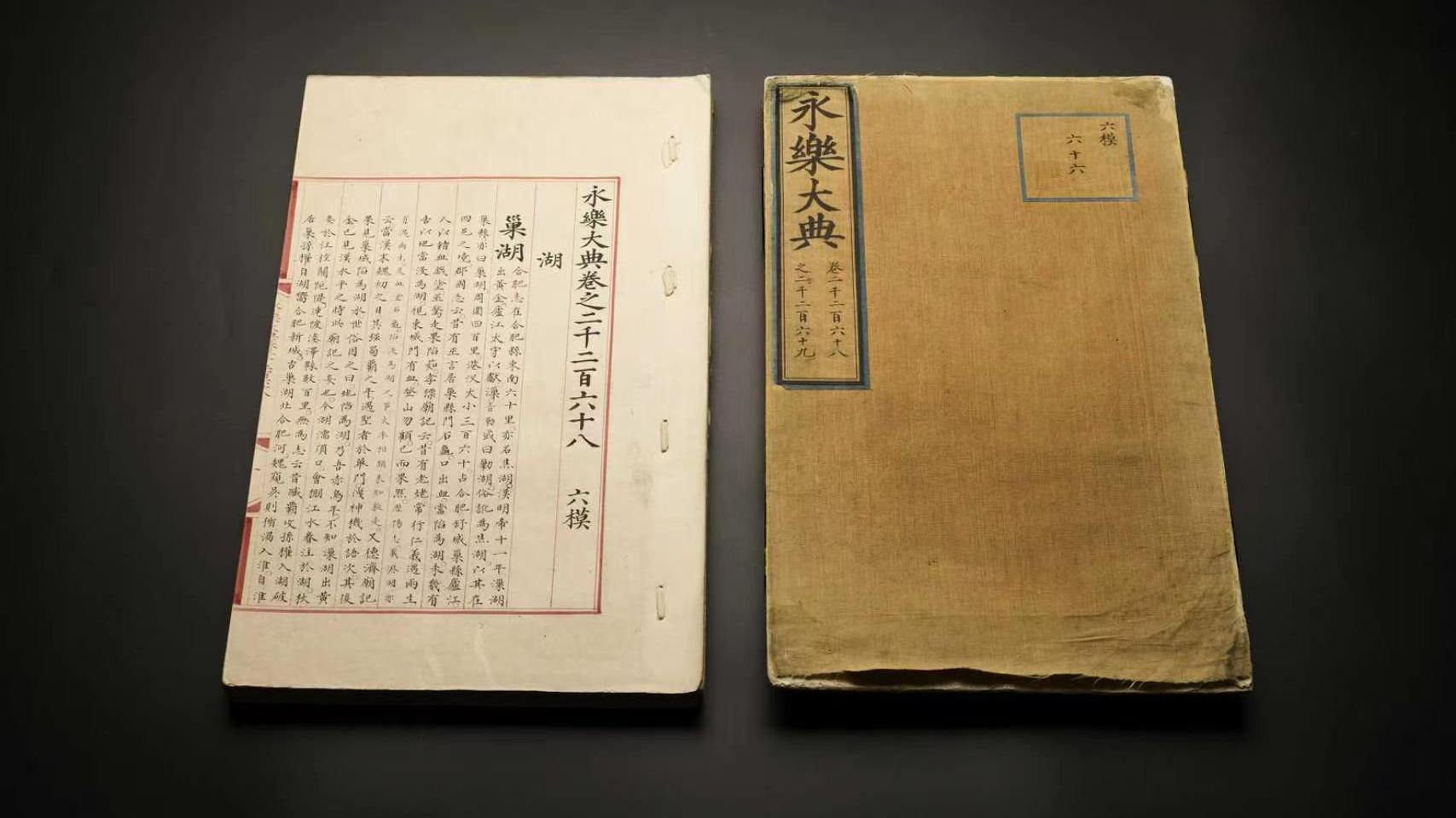 小胖又在指导樊振东