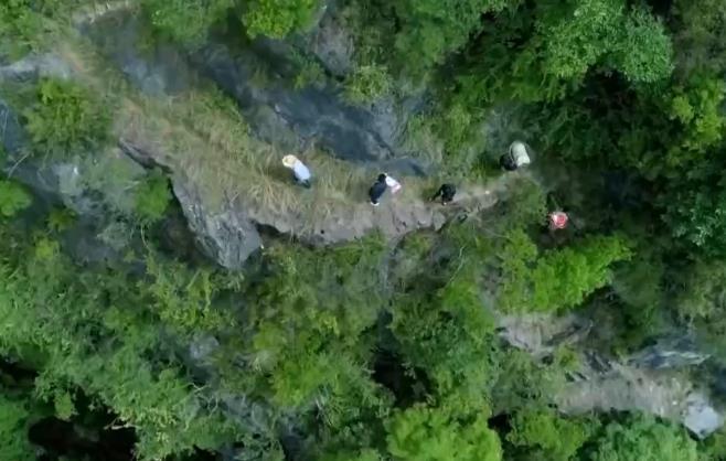 四部门延续实施失业保险稳岗扩岗政策举措