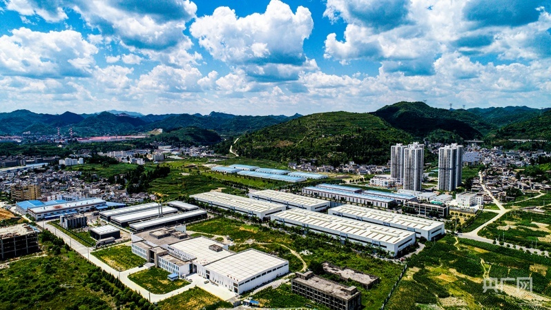 小胖又在指导樊振东
